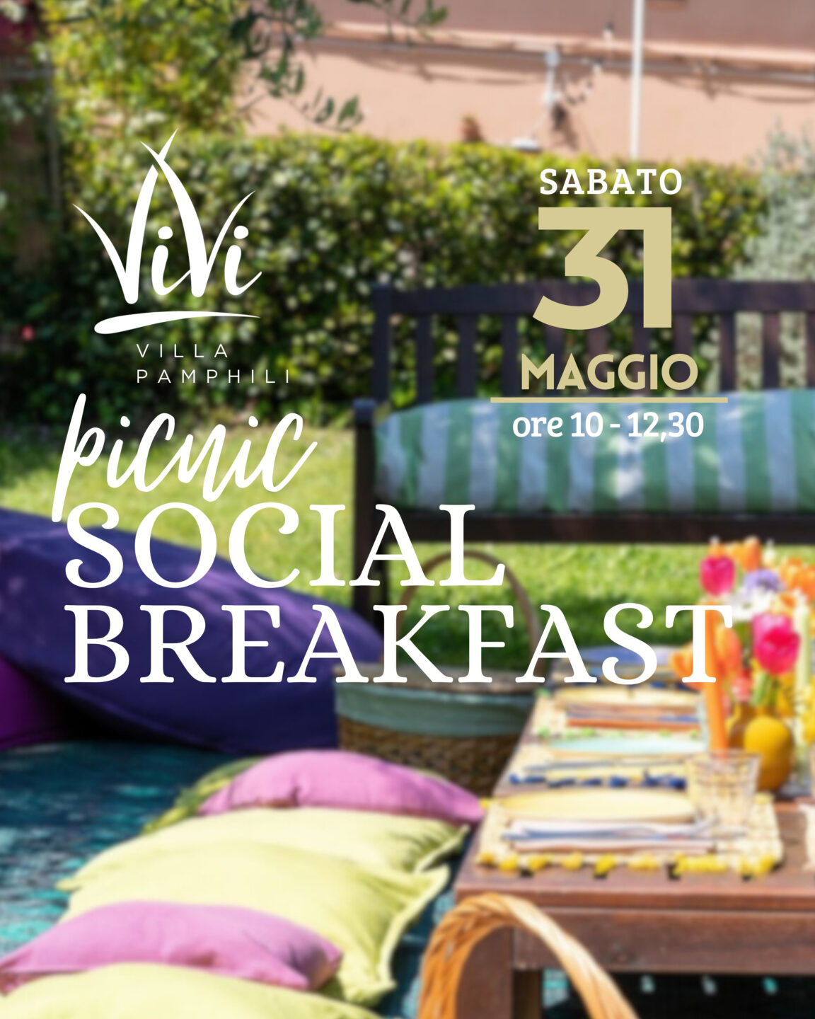 Picnic Social da Vivi